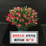 云南昆明多头小玫瑰速递鲜花批发一扎 深圳广州家庭办公室插花