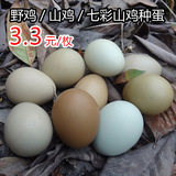 野鸡种蛋受精蛋七彩山鸡种蛋七彩山鸡受精蛋孵化蛋
