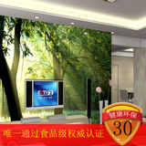 3D立体无缝大型壁画阳光树林风景电视背景墙纸 客厅田园森林壁纸