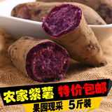 紫心番薯正宗农家特产纯天然新鲜紫薯番薯紫地瓜现买现挖5斤包邮
