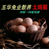 土鸡蛋农家散养 新鲜 绿壳鸡蛋 月子蛋 初生蛋 30枚包装