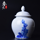 景德镇陶瓷手绘水墨艺术将军罐现代简约实用茶叶罐储物罐茶具配件