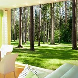 大型 阳光森林壁画 客厅沙发卧室餐厅背景墙墙纸风景壁纸
