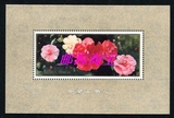 T37M  山茶花小型张 全新全品 邮票 集邮  收藏