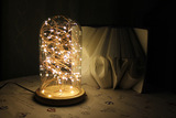 火树银花实木玻璃罩夜灯宜家北欧风LED氛围装饰台灯创意生日礼物