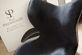 MTG style premium DX 最高级 矫正腰椎座椅 。 正品