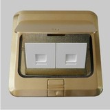 包邮 TCL 罗格朗地板插地插座全铜 双电脑地插双口网络防水送底盒
