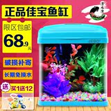 鱼缸水族箱热带鱼生态金鱼缸高清玻璃迷你小型造景蓝绿粉红鱼缸