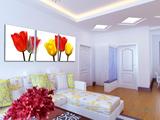 多彩郁金香花卉时尚装饰画 沙发背景墙画 现代客厅无框画三联画