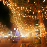 led彩灯闪灯串灯满天星100米铜线户外防水小灯串节日圣诞树装饰灯