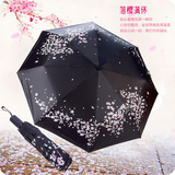 创意樱花晴雨伞 可折叠防晒黑胶雨伞防紫外线太阳遮阳两用三折伞