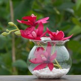 创意家居水培玻璃插花瓶 透明花器桌面装饰品 室内园艺办公桌摆件