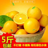 广西特产 农产品新鲜水果 冰糖橙甜橙子 现摘冰糖柑 5斤包邮