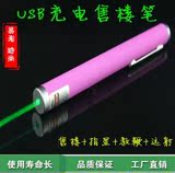 便携USB激光手电绿光售楼红光笔沙盘笔无满天星镭射灯射笔特价