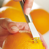 304不锈钢柠檬刮皮刨丝器刮丝刀刨条水果剥皮器瓜果刀柚子茶工具