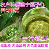 新鲜特级精选建宁莲子心莲子芯茶清热降火100g包邮无杂物无添加剂