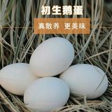 15枚农家散养新鲜草鹅蛋土鹅蛋笨鹅蛋初生蛋。