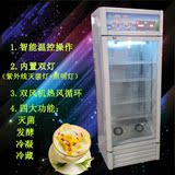商用酸奶机 智能大容量酸奶机 全自动酸奶机 灭菌发酵冷藏一体机