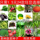 蔬菜种子套餐 水果种子 春播蔬菜籽 南瓜番茄香葱萝卜上海青辣椒