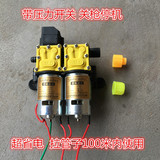 台州信利达12V双核动力水泵 农用电动喷雾器双泵高压洗车器改装