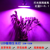 led植物生长补光灯多肉植物大棚种植光合作用花卉育苗全光谱100瓦