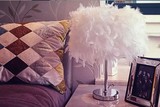 羽毛LED 调光客厅房间书房卧室结婚庆新居床头创意中式台灯 特价