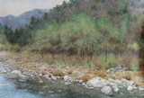 纯粹 名人手绘真迹- 朝鲜功勋艺术家朴哲民-原创油画-青青河边树