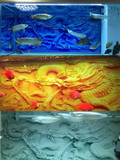 定做鱼缸背景纸高清水族箱背景画鱼缸壁纸3D立体背景龙图装饰造景