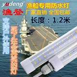 包邮台湾设计DC12V24V36V48V60VLED防水日光灯渔船电动车客车灯管