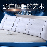 双人枕芯决明子磁疗双人长枕头保健长枕芯1.2米1.5米1.8特价包邮