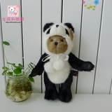熊猫公仔娃娃正版毛绒玩具泰迪熊可爱女生小孩生日礼物毕业送同学
