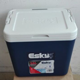 包邮Esky保温箱26升 冷藏箱保冷箱外卖箱钓鱼箱药品箱送6个冰袋