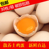 广西天平山散养初生土鸡蛋30枚包邮 儿童孕妇食用蛋首选草笨鸡蛋