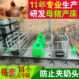 猪产床加重 母猪产双床 猪用分娩栏 养猪设备 养殖设备猪用产床