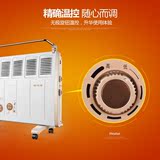 特价热销先锋暖风机电暖器DF1339家用节能省电静音防水电暖炉电热