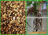 经典兰花植料，兰之粟，颗粒植料，仙土、树皮、树叶、植金石