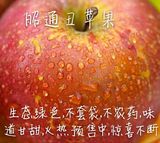 昭通苹果胜烟台栖霞野生苹果新鲜水果冰糖心丑苹果红富士10斤包邮
