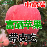 烟台栖霞绿色富硒苹果特产 水果新鲜红富士 正宗冰糖心10斤包邮