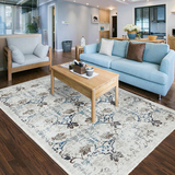 地毯房间客厅美式简约现代 北欧沙发卧室茶几垫床边毯满铺长方形