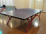 DHS/红双喜T2828乒乓球台室内标准比赛小彩虹家用折叠乒乓球桌