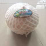 泰国椰青 新鲜椰子 进口水果 孕妇水果 清香甜 2个装送吸管椰刀
