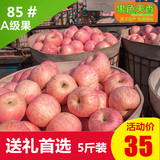 正宗烟台苹果栖霞红富士新鲜水果苹果85#5斤脆甜冰糖心山东特产