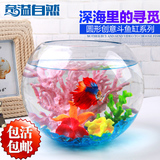 奇溢自然 圆形鱼缸创意鱼缸玻璃迷你桌面斗鱼造景鱼缸