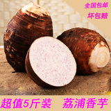 广西荔浦芋头新鲜花斑槟榔香芋毛芋农家自种有机生鲜蔬菜5斤包邮