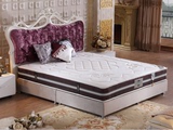 CBD床垫天然乳胶床垫九区独立弹簧袋椰棕床垫 席梦思竹炭纤维床垫