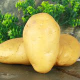 【百农缘_ 大土豆5斤】农家自种新鲜荷兰马铃薯 山药蛋有机蔬菜