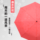 全自动雨伞女遇水开花三折伞韩国创意折叠伞超轻晴雨两用伞