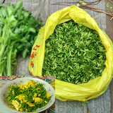 农家新鲜有机 蔬菜 青菜 夜香花 食用 500g广西广东配送 夜来香