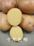 云南新鲜土豆马铃薯 宣威88号 红皮黄心 土豆 马铃薯 洋芋 产地