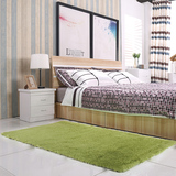 天天特价丝毛地毯客厅卧室茶几地毯床边毯 防滑满铺地毯可定制